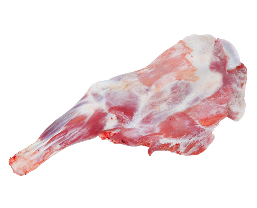 footer-gellary