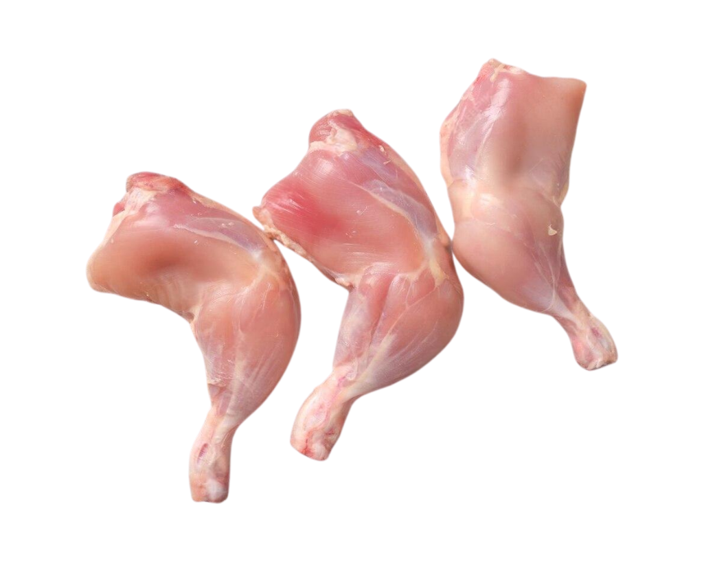 footer-gellary