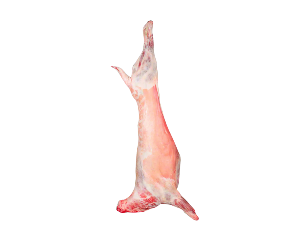footer-gellary