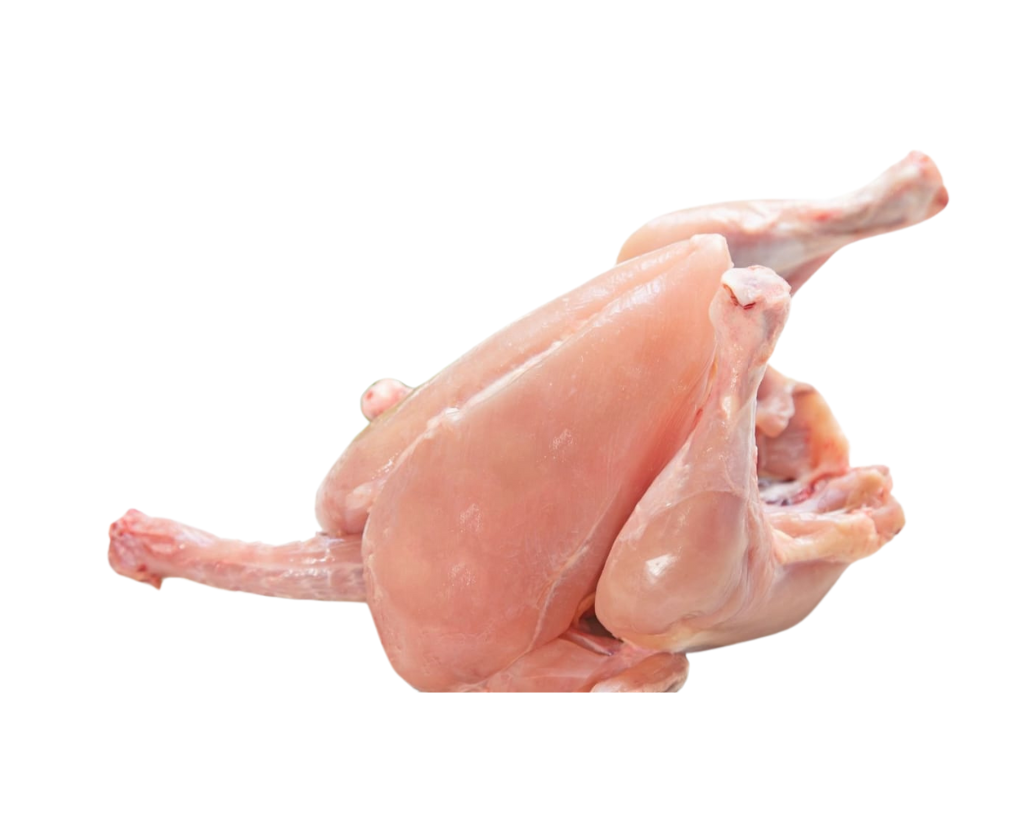 footer-gellary